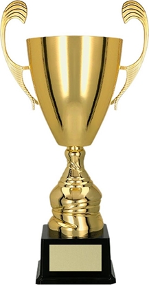 Attēls no Victoria Sport Puchar metalowy zoty T-D