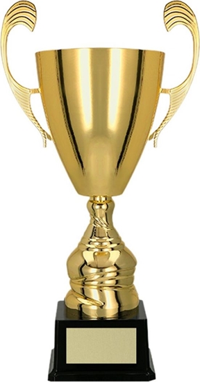Picture of Victoria Sport Puchar metalowy zoty T-M