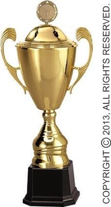 Attēls no Victoria Sport Puchar metalowy zoty z przykrywk