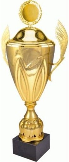 Picture of Victoria Sport Puchar metalowy zoty z przykrywk 4126/DP