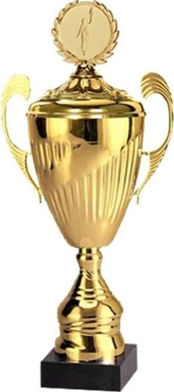 Picture of Victoria Sport Puchar metalowy zoty z przykrywk T-D 7098/AP