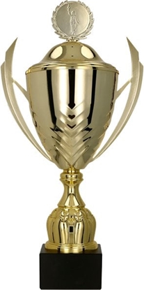 Attēls no Victoria Sport Puchar metalowy zoto-czarny