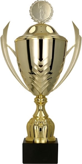 Picture of Victoria Sport Puchar metalowy zoto-czarny