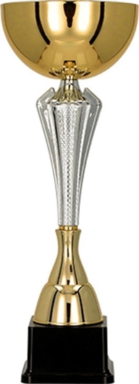 Изображение Victoria Sport Puchar metalowy zoto-srebrny