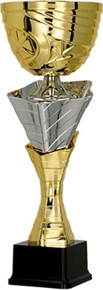 Attēls no Victoria Sport Puchar metalowy zoto-srebrny