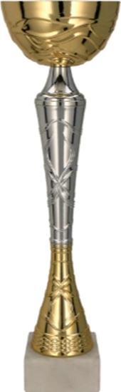Picture of Victoria Sport Puchar metalowy zoto-srebrny TUMA S