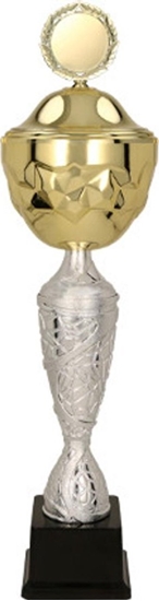 Picture of Victoria Sport Puchar z przykrywk GEDRYT