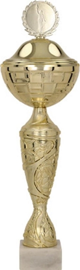 Picture of Victoria Sport Puchar z przykrywk TANGA