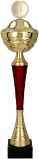 Picture of Victoria Sport Puchar z przykrywk TUMA RD