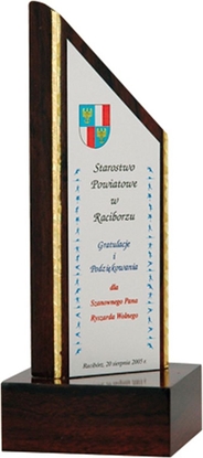 Attēls no Victoria Sport Trofeum z tworzywa sztucznego grawerowane