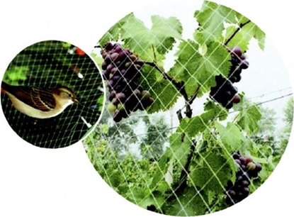 Attēls no vidaXL Green>it® fuglenet 25×25 mm x 6×6 meter