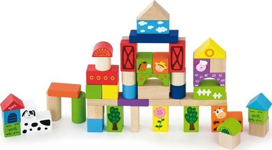 Picture of Viga Farma Klocki 50el.