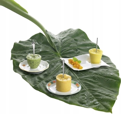 Изображение Villeroy & Boch Villeroy & Boch NewWave Caffe -lautanen, 20 x 14 cm