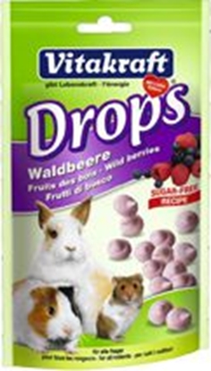 Attēls no Vitakraft DROPSY KRÓLIK LENE* 50g