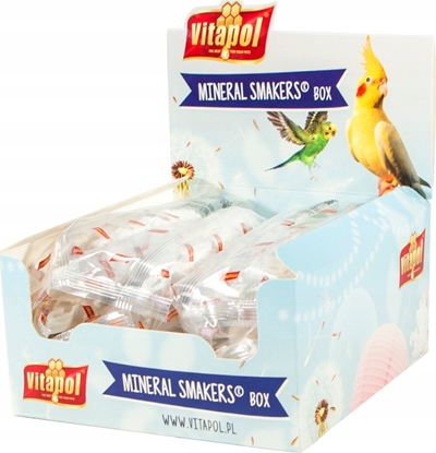 Picture of Vitapol SMAKERS BOX -SMAKERS WAPIENNY DLA PTAKÓW