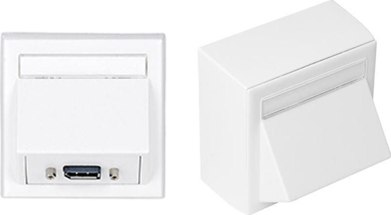 Picture of VivoLink WI221196 gniazdko elektryczne DisplayPort Biay