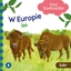 Изображение W Europie. Las. ubr