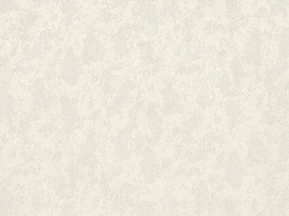 Picture of WALLPAPER B118 8691-05 I 01 2025