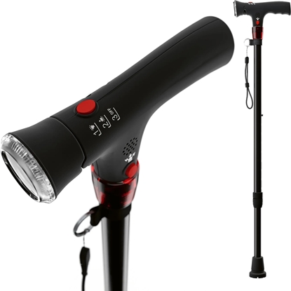 Picture of Weinberger Geh- und Wanderstock mit Licht und Panikalarm