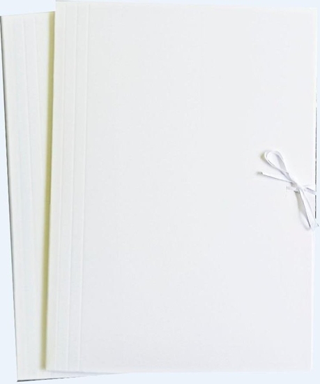 Picture of Wektor Teczka A4 biaa wizana (10szt)