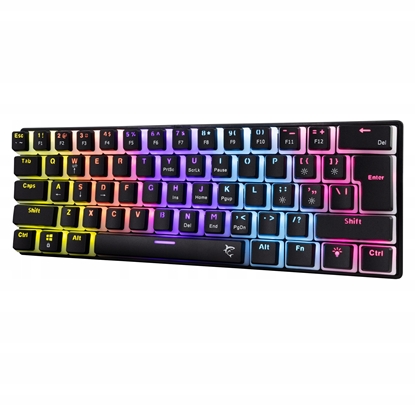 Picture of White Shark Ashiko-2 black US