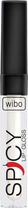 Picture of Wibo WIBO_Spicy Lip Gloss byszczyk do ust 10 3ml