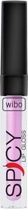Picture of Wibo WIBO_Spicy Lip Gloss byszczyk do ust 19 3ml