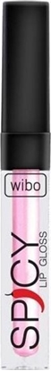 Picture of Wibo WIBO_Spicy Lip Gloss byszczyk do ust 3 3ml
