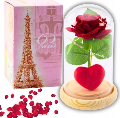 Attēls no Wieczna Róa w Kopule z Owietleniem LED Czerwona z Serduszkiem 14x8cm