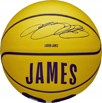 Picture of Wilson NBA Player Icon LeBron James Mini Ball WZ4027701XB óte 3