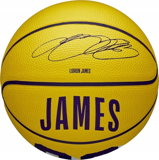 Picture of Wilson NBA Player Icon LeBron James Mini Ball WZ4027701XB óte 3