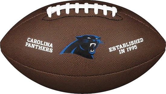 Picture of Wilson Wilson NFL Team Logo Carolina Panthers Ball WTF1748XBCA Brzowe 9