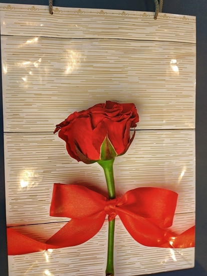 Изображение WINI Torebka T10 L - 5907803717362