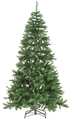 Изображение Winteria Kald egl "Luxus" alia, 130x130x240cm