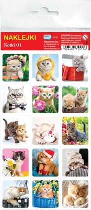 Picture of Wydawnictwo Jako Naklejki. Kotki
