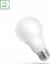 Изображение Wojnarowscy LED GLS E-27 230V 9W NW SPECTRUM