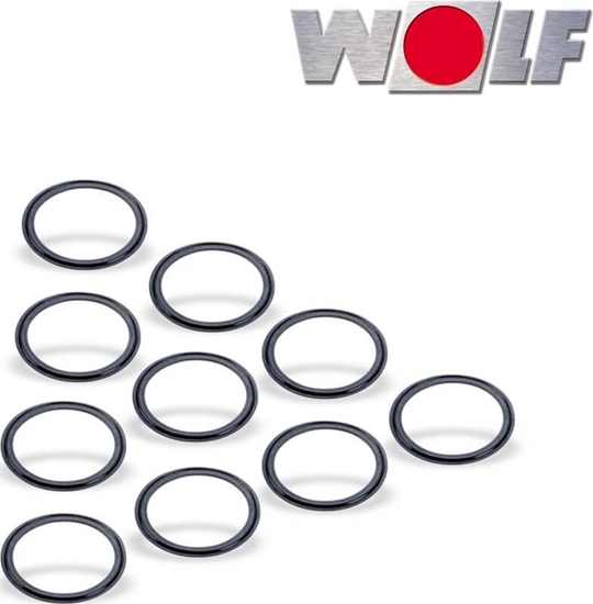 Picture of Wolf sealing ring for hose system 63/52 bags of 10 pieces.