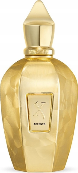 Picture of Xerjoff XERJOFF Accento Overdose EDP spray 100ml