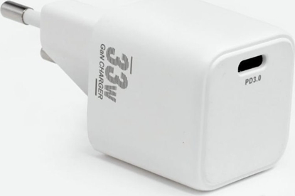 Picture of Zasilacz do laptopa CoreParts CoreParts MBXUSBC-AC0032 adapter zasilajcy/ inwentor Wewntrzna 33 W Czarny