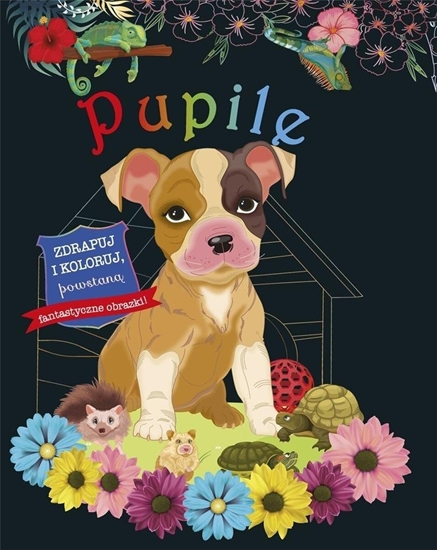 Picture of Zdrapuj i koloruj. Pupile