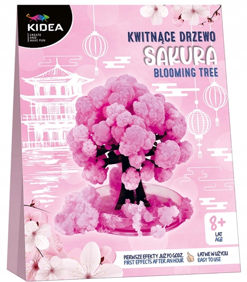 Picture of ZEST KREAT KWITNACE DRZEWO SAKURA KIDEA PUD