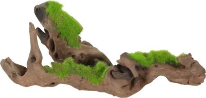 Picture of Zolux Zolux Ozdoba do akwarium korze malezyjski KIPOUSS S z nasionami