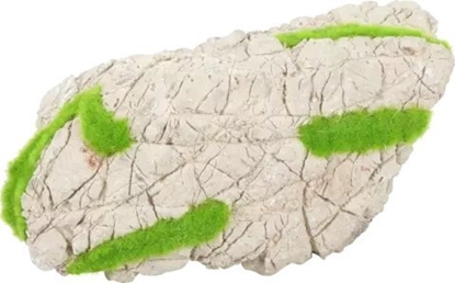 Attēls no Zolux Zolux Ozdoba do akwarium szary kamie KIPOUSS S z nasionami