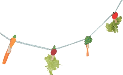 Picture of Zolux ZOLUX Sznurek wiszcy na przysmaki dla królika NEOLIFE 150cm