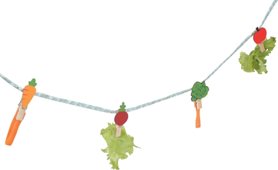 Picture of Zolux ZOLUX Sznurek wiszcy na przysmaki dla królika NEOLIFE 150cm