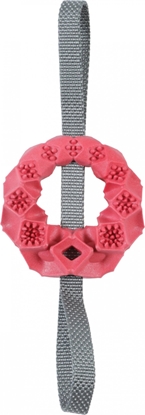 Picture of Zolux ZOLUX Zabawka dla psa piercie TPR Outdoor kol. ceglasty