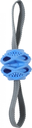 Picture of Zolux ZOLUX Zabawka dla psa pika TPR Outdoor kol. niebieski