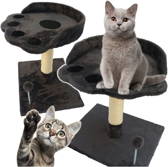 Picture of ZW2F DRAPAK DLA KOTA LEGOWISKO  WIEA      APA