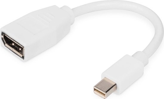 Picture of Digitus DisplayPort adapter cable, mini DP - DP