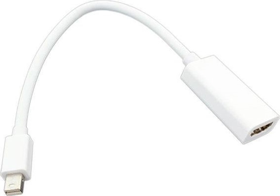 Picture of Adapter AV Hertz DisplayPort Mini - HDMI biay